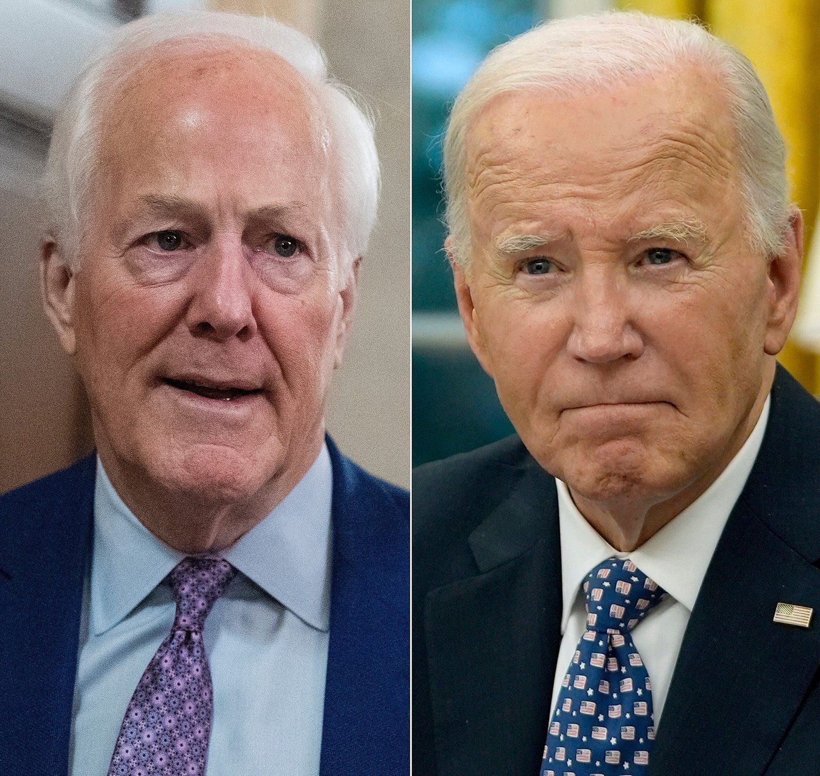 The Senators of the Republican Party plan the audience on the perceived cognitive impairment of Biden
